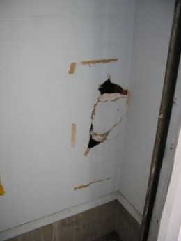 drywall repair